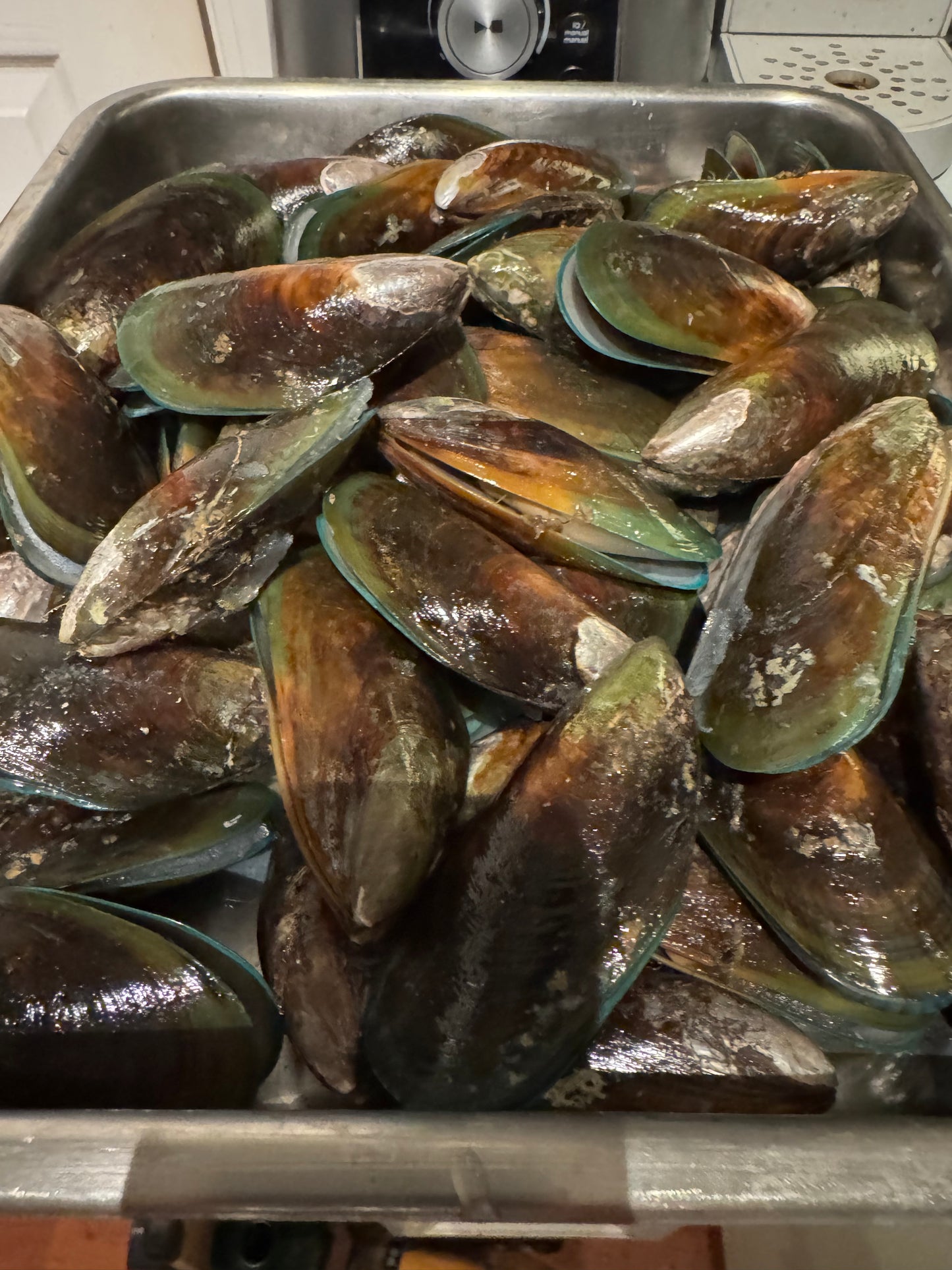 Green Lipped Mussels, Gently Dried